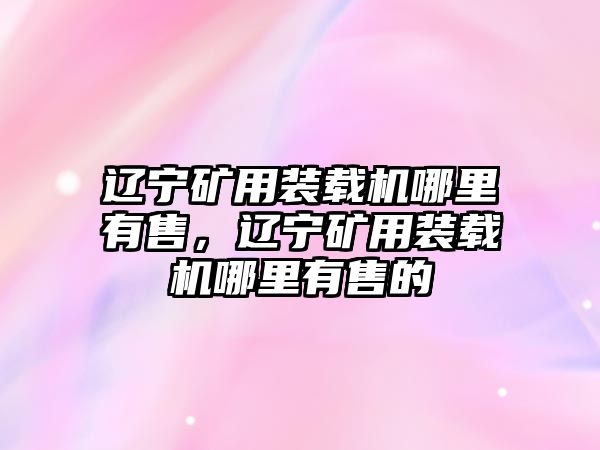 遼寧礦用裝載機哪里有售，遼寧礦用裝載機哪里有售的