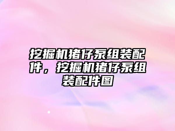 挖掘機豬仔泵組裝配件，挖掘機豬仔泵組裝配件圖