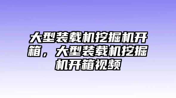 大型裝載機(jī)挖掘機(jī)開(kāi)箱，大型裝載機(jī)挖掘機(jī)開(kāi)箱視頻