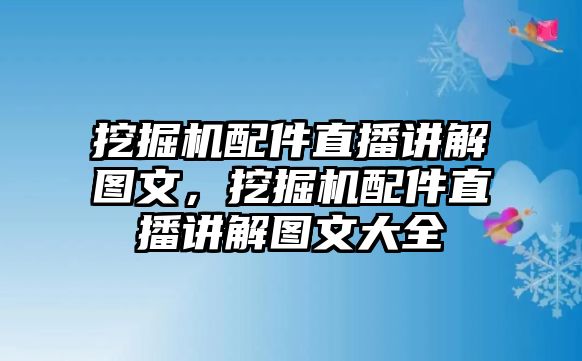 挖掘機配件直播講解圖文，挖掘機配件直播講解圖文大全