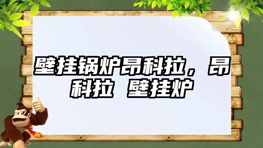 壁掛鍋爐昂科拉，昂科拉 壁掛爐