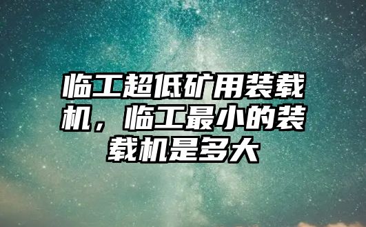 臨工超低礦用裝載機，臨工最小的裝載機是多大