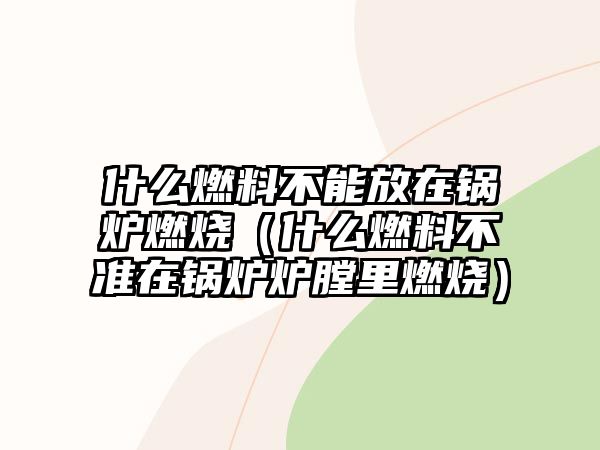 什么燃料不能放在鍋爐燃燒（什么燃料不準(zhǔn)在鍋爐爐膛里燃燒）