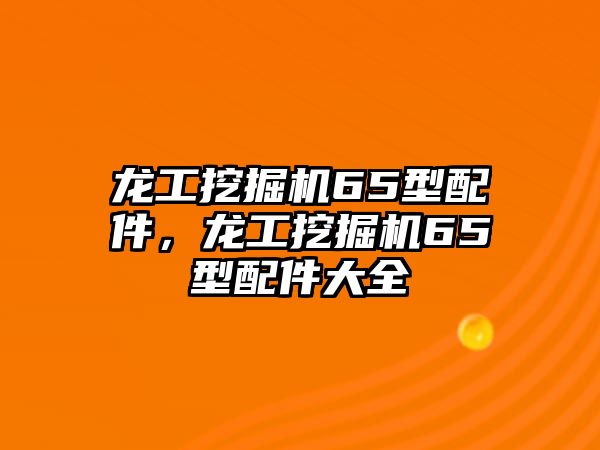 龍工挖掘機(jī)65型配件，龍工挖掘機(jī)65型配件大全