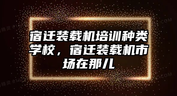 宿遷裝載機培訓(xùn)種類學(xué)校，宿遷裝載機市場在那兒