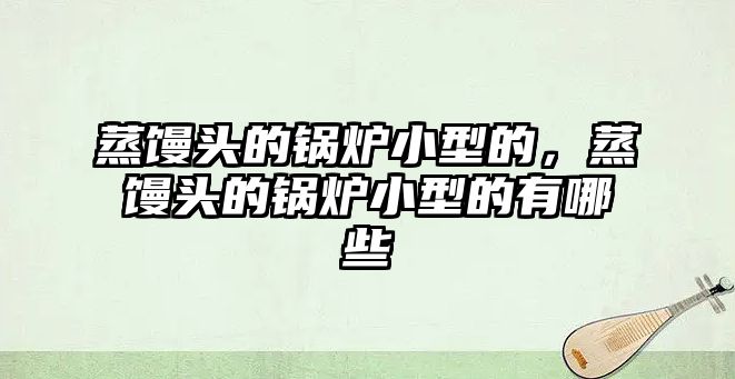 蒸饅頭的鍋爐小型的，蒸饅頭的鍋爐小型的有哪些