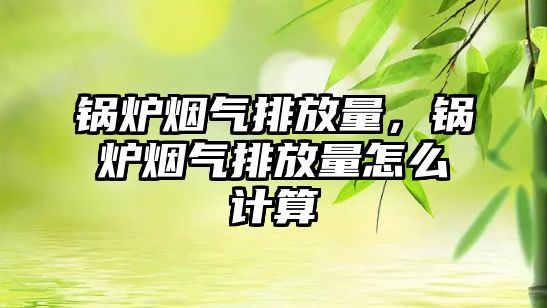 鍋爐煙氣排放量，鍋爐煙氣排放量怎么計算