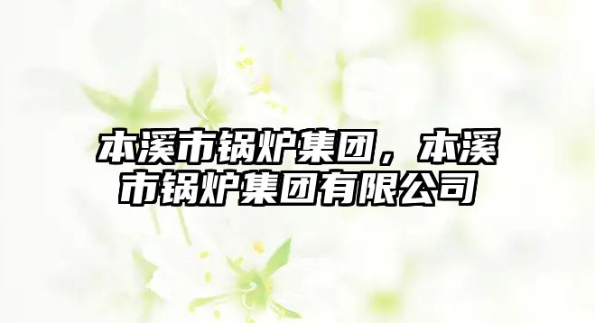 本溪市鍋爐集團(tuán)，本溪市鍋爐集團(tuán)有限公司