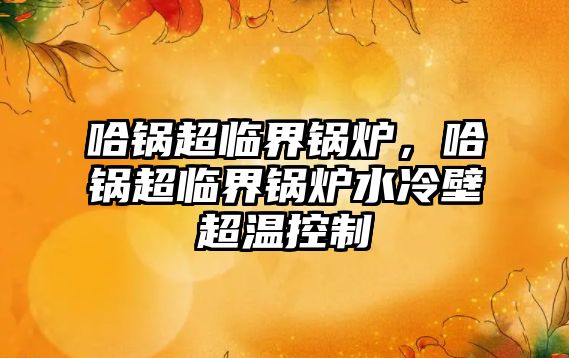 哈鍋超臨界鍋爐，哈鍋超臨界鍋爐水冷壁超溫控制