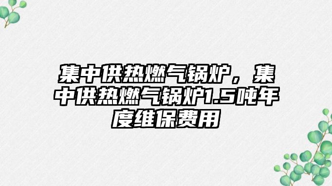 集中供熱燃?xì)忮仩t，集中供熱燃?xì)忮仩t1.5噸年度維保費用