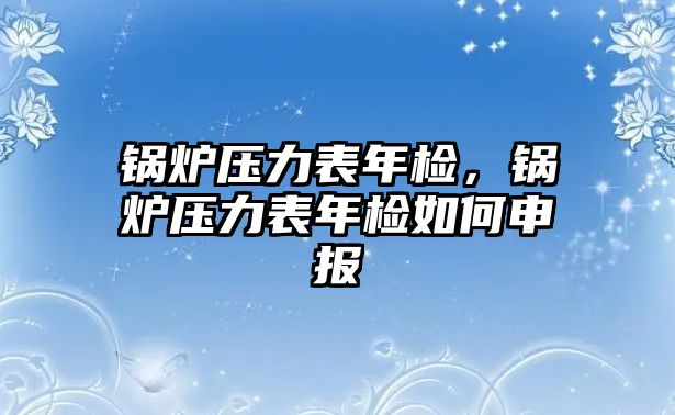 鍋爐壓力表年檢，鍋爐壓力表年檢如何申報(bào)