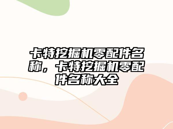 卡特挖掘機零配件名稱，卡特挖掘機零配件名稱大全