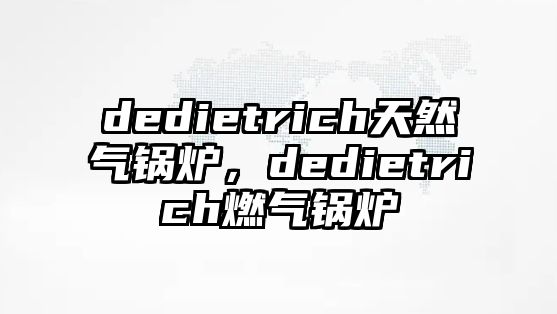 dedietrich天然氣鍋爐，dedietrich燃?xì)忮仩t