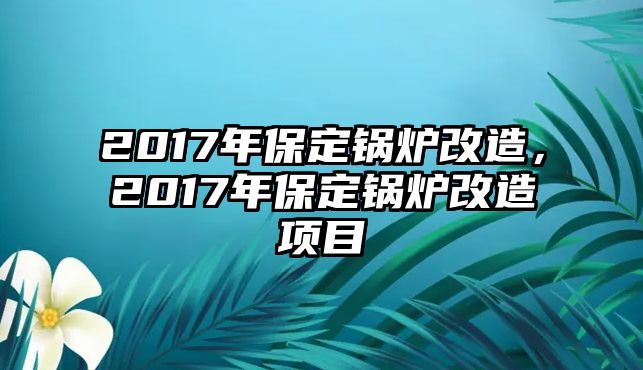 2017年保定鍋爐改造，2017年保定鍋爐改造項目