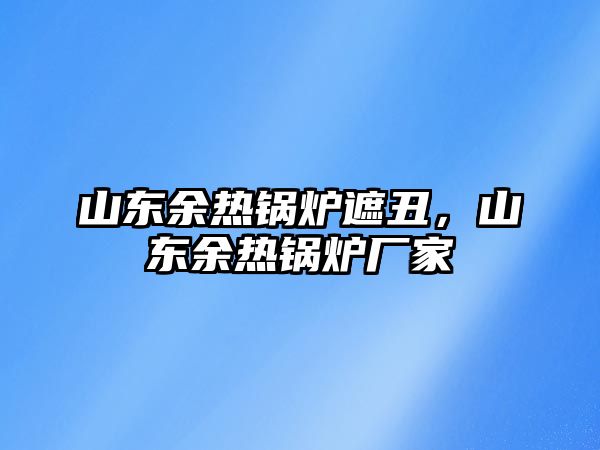 山東余熱鍋爐遮丑，山東余熱鍋爐廠家