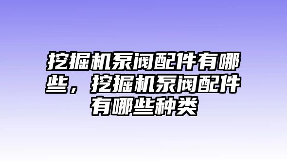 挖掘機(jī)泵閥配件有哪些，挖掘機(jī)泵閥配件有哪些種類(lèi)