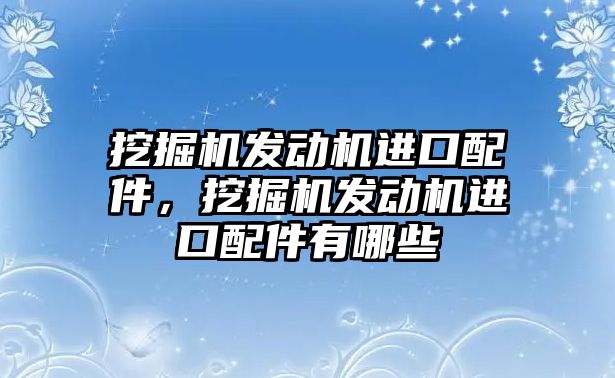 挖掘機發(fā)動機進口配件，挖掘機發(fā)動機進口配件有哪些