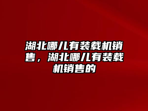 湖北哪兒有裝載機(jī)銷售，湖北哪兒有裝載機(jī)銷售的