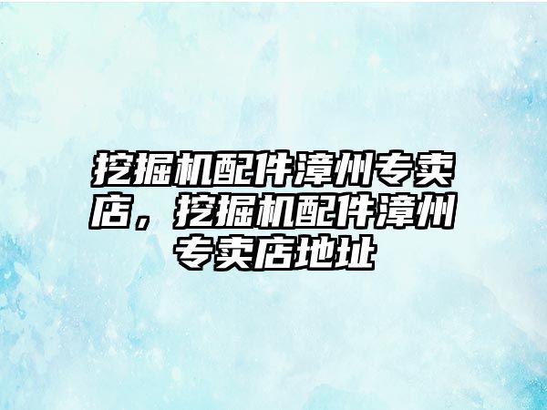 挖掘機配件漳州專賣店，挖掘機配件漳州專賣店地址