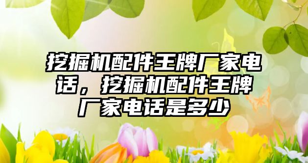 挖掘機配件王牌廠家電話，挖掘機配件王牌廠家電話是多少