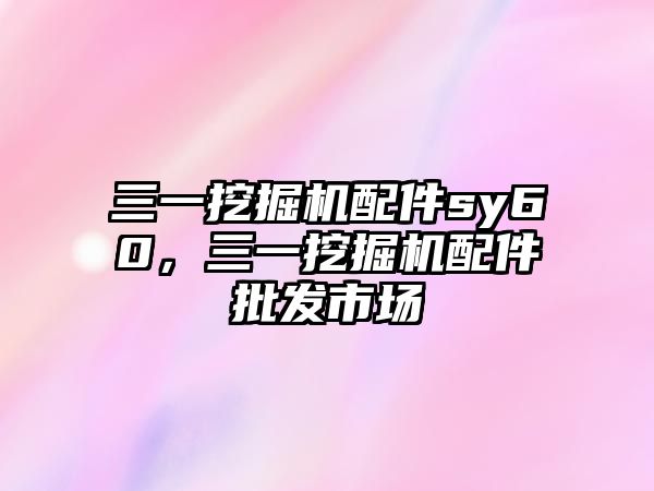 三一挖掘機(jī)配件sy60，三一挖掘機(jī)配件批發(fā)市場(chǎng)