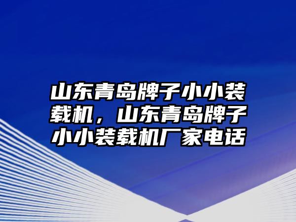 山東青島牌子小小裝載機，山東青島牌子小小裝載機廠家電話