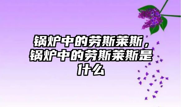 鍋爐中的勞斯萊斯，鍋爐中的勞斯萊斯是什么