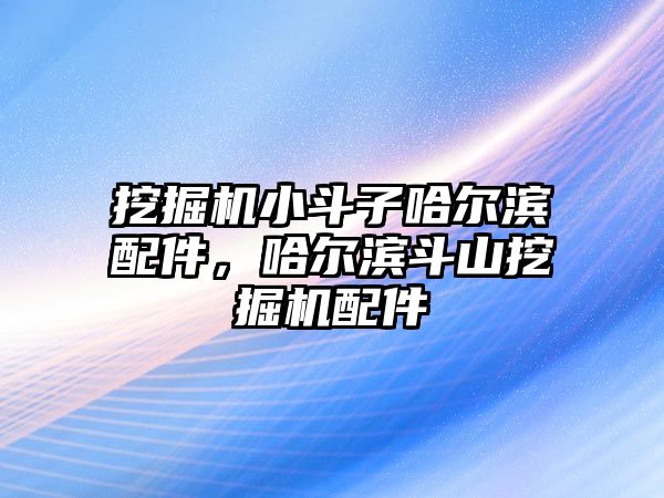 挖掘機(jī)小斗子哈爾濱配件，哈爾濱斗山挖掘機(jī)配件