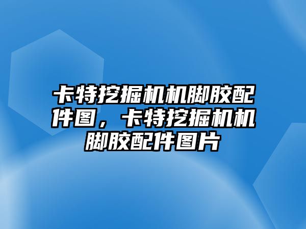 卡特挖掘機機腳膠配件圖，卡特挖掘機機腳膠配件圖片