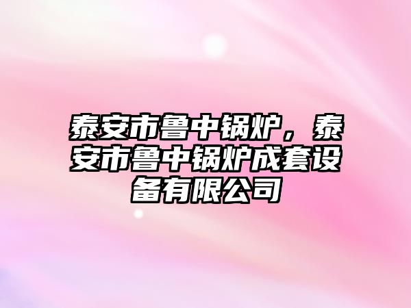 泰安市魯中鍋爐，泰安市魯中鍋爐成套設(shè)備有限公司