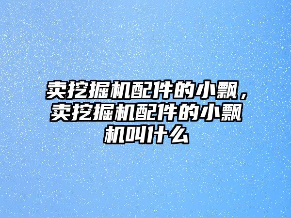 賣挖掘機配件的小飄，賣挖掘機配件的小飄機叫什么