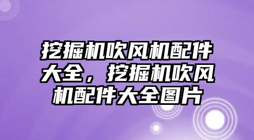 挖掘機吹風(fēng)機配件大全，挖掘機吹風(fēng)機配件大全圖片