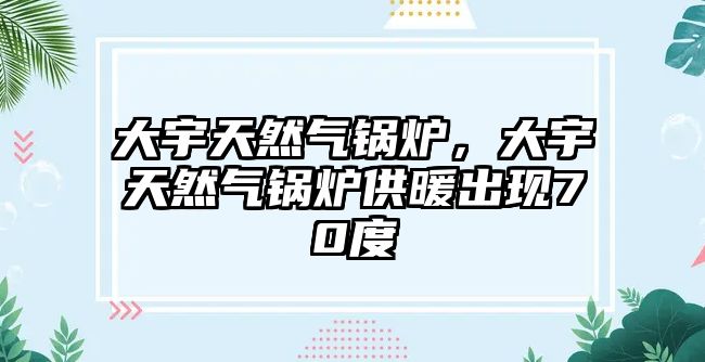 大宇天然氣鍋爐，大宇天然氣鍋爐供暖出現(xiàn)70度