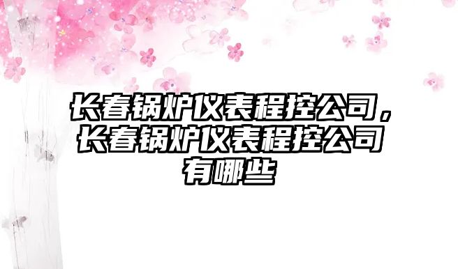 長春鍋爐儀表程控公司，長春鍋爐儀表程控公司有哪些