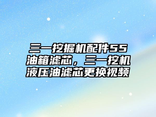 三一挖掘機(jī)配件55油箱濾芯，三一挖機(jī)液壓油濾芯更換視頻