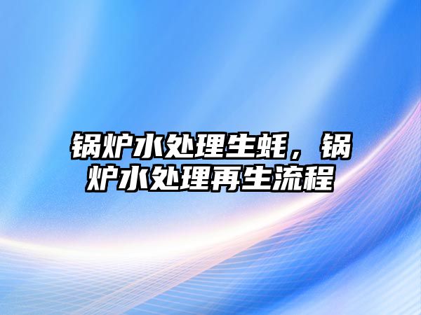 鍋爐水處理生蠔，鍋爐水處理再生流程