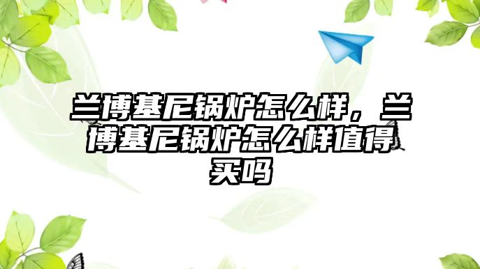 蘭博基尼鍋爐怎么樣，蘭博基尼鍋爐怎么樣值得買嗎