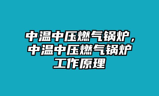 中溫中壓燃?xì)忮仩t，中溫中壓燃?xì)忮仩t工作原理