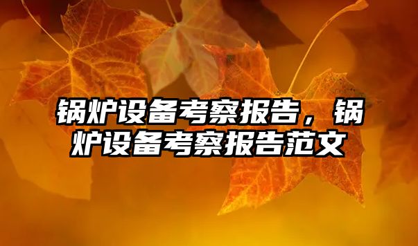 鍋爐設(shè)備考察報(bào)告，鍋爐設(shè)備考察報(bào)告范文