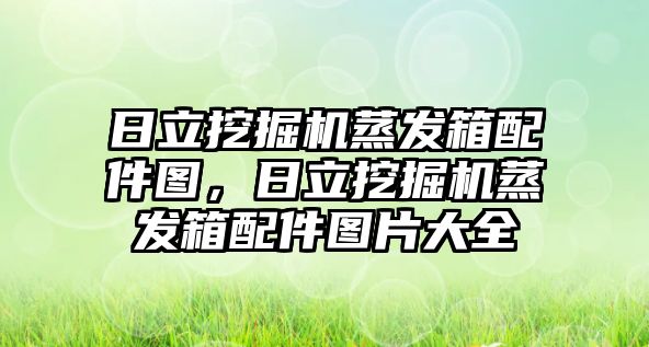 日立挖掘機蒸發(fā)箱配件圖，日立挖掘機蒸發(fā)箱配件圖片大全