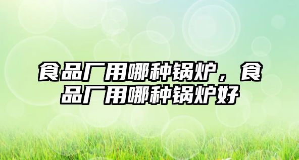 食品廠用哪種鍋爐，食品廠用哪種鍋爐好