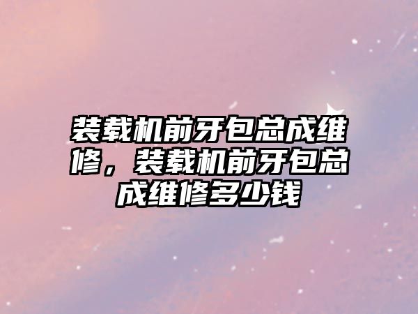 裝載機前牙包總成維修，裝載機前牙包總成維修多少錢