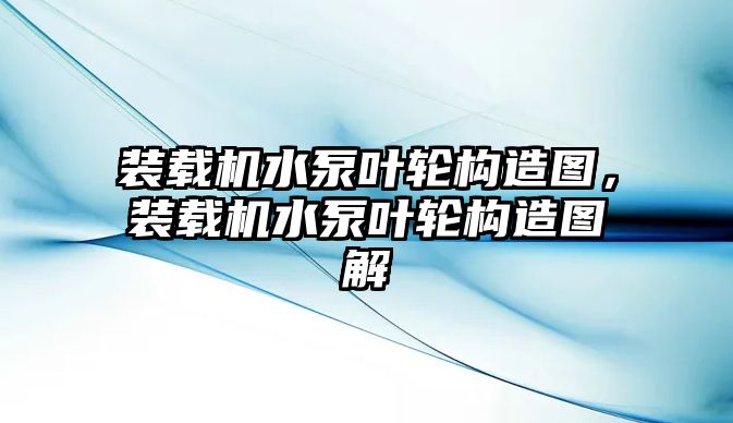 裝載機水泵葉輪構造圖，裝載機水泵葉輪構造圖解