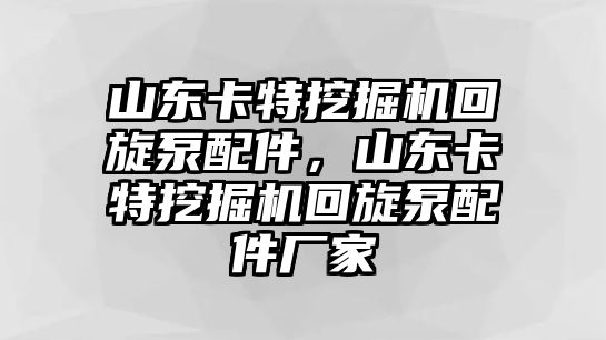 山東卡特挖掘機(jī)回旋泵配件，山東卡特挖掘機(jī)回旋泵配件廠家