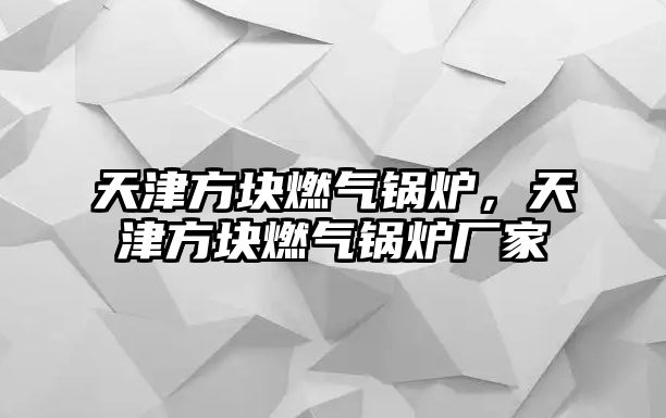 天津方塊燃?xì)忮仩t，天津方塊燃?xì)忮仩t廠家