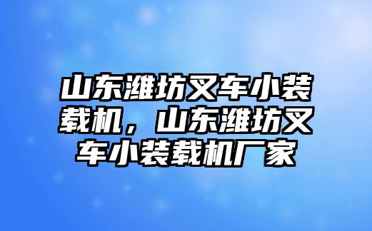 山東濰坊叉車小裝載機(jī)，山東濰坊叉車小裝載機(jī)廠家