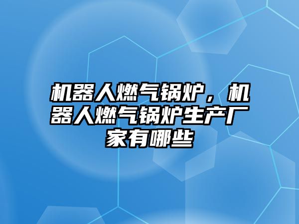 機器人燃氣鍋爐，機器人燃氣鍋爐生產(chǎn)廠家有哪些