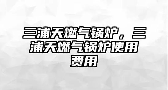 三浦天燃?xì)忮仩t，三浦天燃?xì)忮仩t使用費(fèi)用