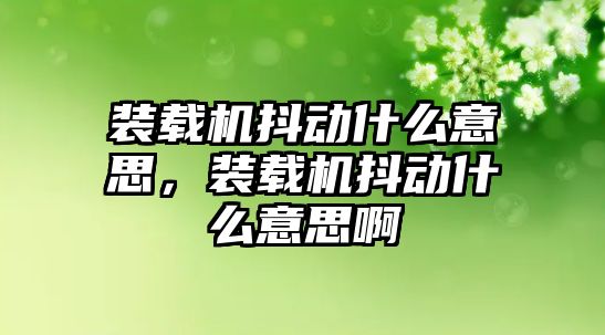 裝載機抖動什么意思，裝載機抖動什么意思啊