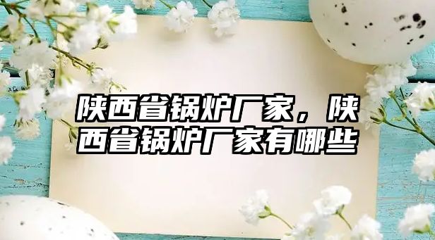 陜西省鍋爐廠(chǎng)家，陜西省鍋爐廠(chǎng)家有哪些